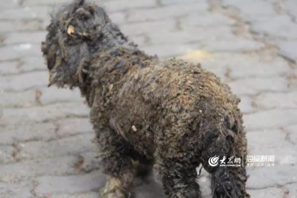突發(fā)！青島一居民樓發(fā)生爆燃！已造1人死亡，7人受傷！3公里外有震感…