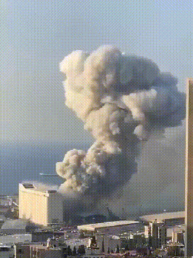 1598245619154980.gif